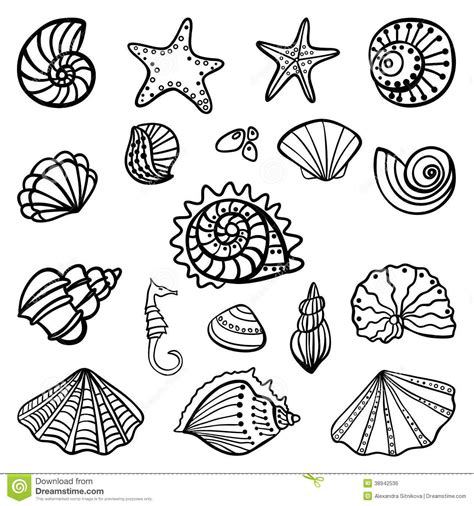 Coloring pages, Coloring book pages, Sea shells