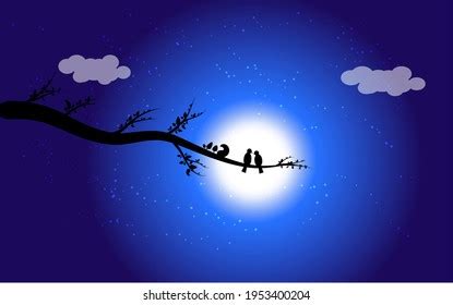 88 Bird Chirping Night Royalty-Free Images, Stock Photos & Pictures