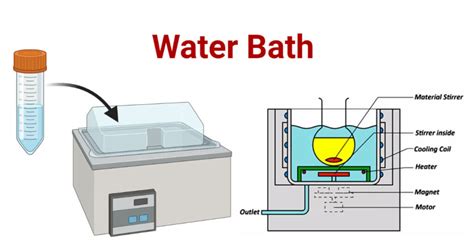 Water Bath Definition Principle Parts Types Procedure Uses