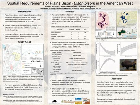 Pdf Spatial Requirements Of Plains Bison Bison Bison In The