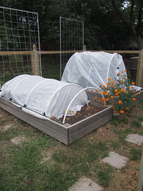 Fabric protects your plants from insect pests, cold temperatures and too much sun. Following the Master Gardener: Using Winter Row Covers