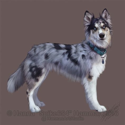 Sketchy Pet Portrait 20 By Hannasartstudio Dog Design Art Canine Art