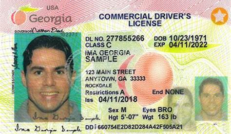 georgia driver's permit manual