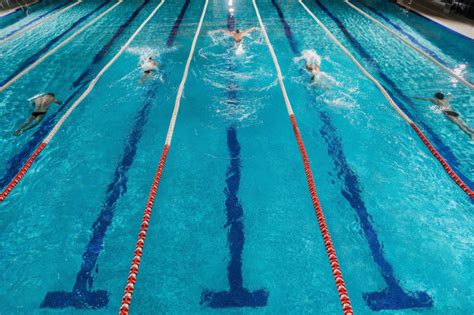 Five Swimmers Racing Against Each Other In A Swiming Pool Free Photo