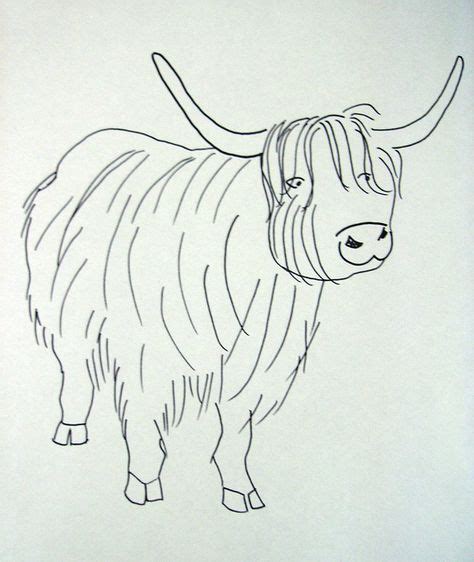 20 Best Bucket List Images In 2020 Cow Coloring Pages Highland Cow