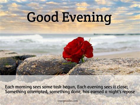 Best Beautiful Good Evening Images And Quotes In 2024 Images Vibe