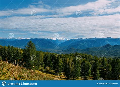 Mountain Valley With Trees And Cloudy Sky Golden Autumn Panorama