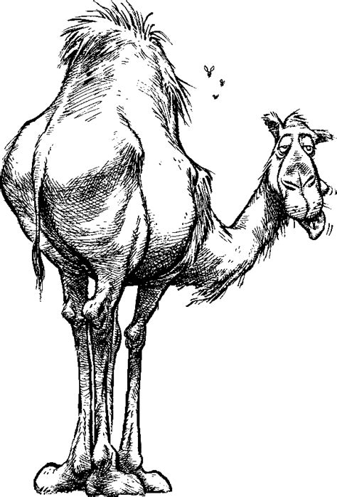 Are you searching for camel png images or vector? Camel Clipart - 70 cliparts