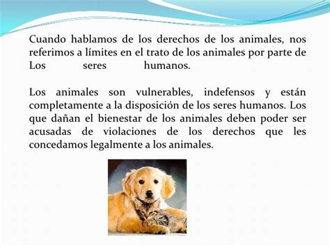 Derechos De Los Animales 22