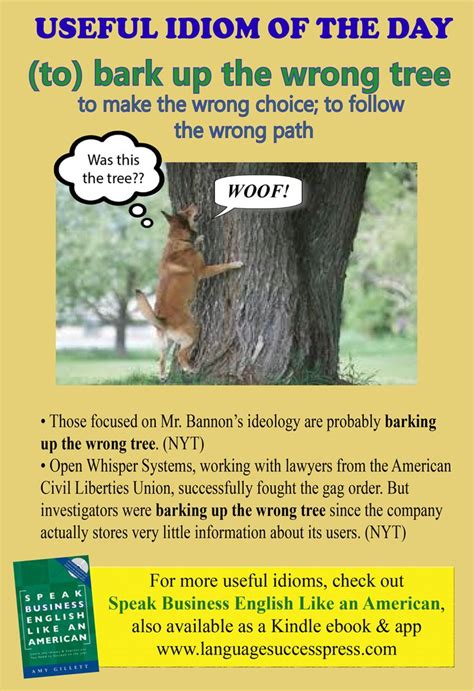 Bark Up The Wrong Tree A Useful English Idiom For Work And Everyday