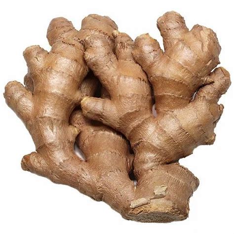 Ginger In Satara अदरक सतारा Latest Price And Mandi Rates From Dealers