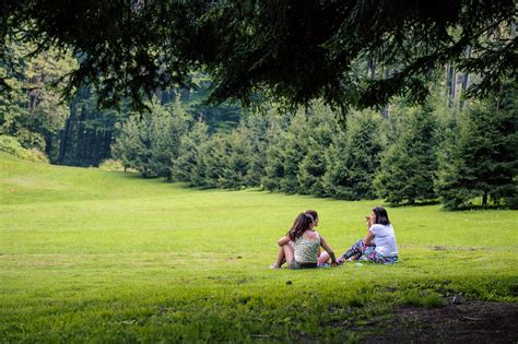 Free Images Tree Nature Forest Grass Outdoor Person Lawn