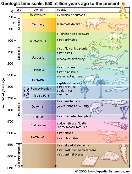 Pcsa Geology Updates The Origin And Development Of Life