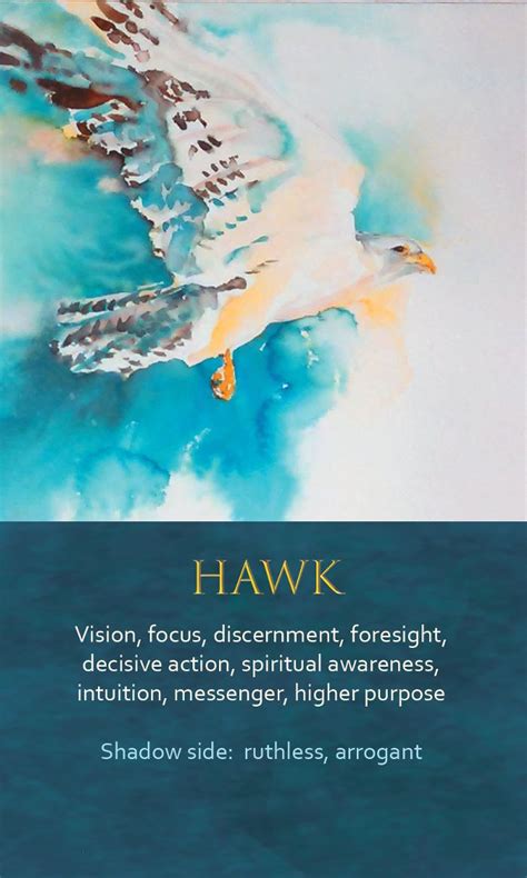 Spirit Animal Awareness Oracle Cards - Hawk | Spirit animal totem, Animal spirit guides, Spirit ...