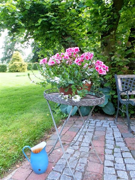 10 m² 370 x 270 x 190 cm treibhaus frühbeet tomatenhaus wintergarten. princessgreeneye | Patio garten, Garten und outdoor ...