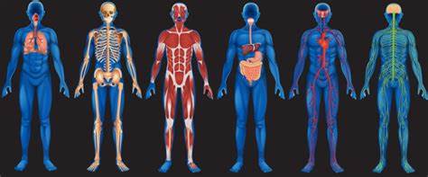 Принимая это лекарство вы похудеете на 100 процентов лексическая ошибка
