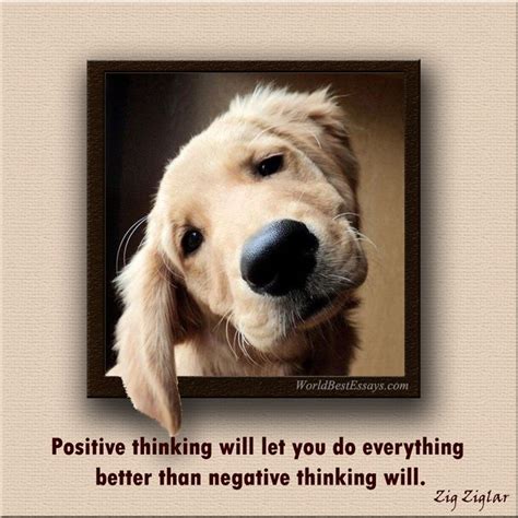 50 Best Pawsitive Quotes Images On Pinterest Doggies Proverbs Quotes