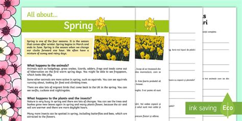 Spring Reading Differentiated Comprehension Worksheet Worksheet Pack