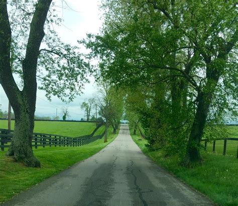 The Route 10 Country Tour Scenic Byway Drive In Kentucky