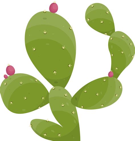 Cartoon Desert Cactus Plant 21611979 Png