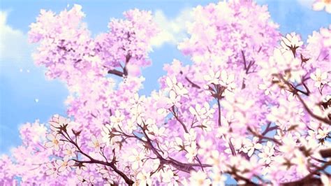 A legend goes that originally, the flowers of the tree were white; all, anime scenery, bakuman, cherry blossom GIF | Find ...