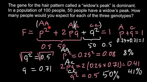 These frequencies will also remain constant for future generations. How to solve Hardy Weinberg problems - YouTube