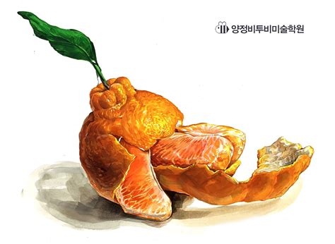 비투비미술학원 기초디자인 오렌지 개체묘사 오렌지 과일 그림 과일