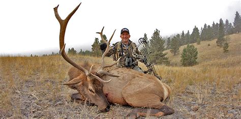 Montana Elk Bowhunt Bowhuntingnet