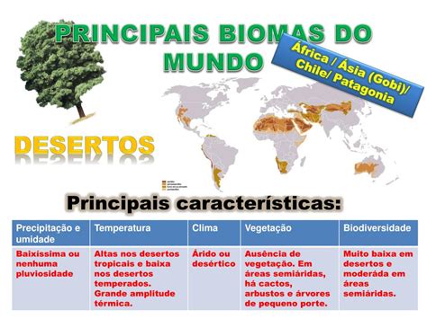 PPT - PRINCIPAIS BIOMAS DO MUNDO PowerPoint Presentation, free download ...