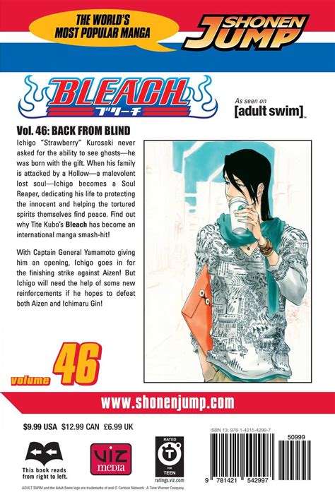 Bleach Vol 46 Book By Tite Kubo Official Publisher Page Simon And Schuster India