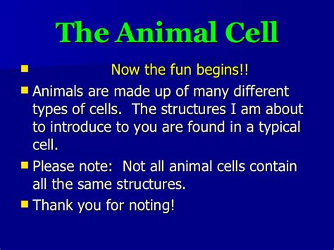 Animal cells are of various sizes and have irregular shapes. Cells Powerpoint Presentation