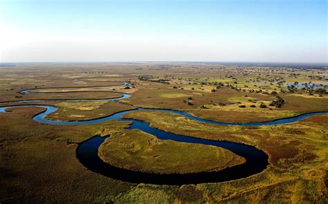 Find photos of okavango delta. Botswana-Shakawe-Okavango-Delta - Reef and Rainforest Tours