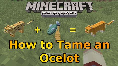 Keep doing this until it no longer kicks, and tiny hearts appear above its head. Minecraft Xbox 360: How to Tame an Ocelot! | TU12 is Out ...