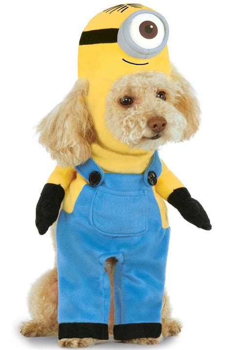 Minion Stuart Pet Costume Minion Dog Costume Pet Costumes Best Dog