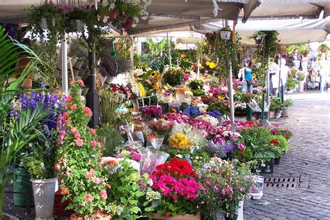 Campo Dei Fiori Market The Field Of Flowers Rome Travel Guide
