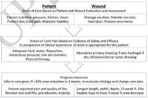Simplified Evidence Based Strategy For Managing Pressure Ulcers For Download Scientific