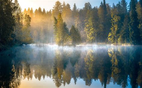 Morgen Wald Nebel See Bäume Herbst Finnland 1920x1440 Hd