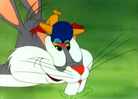 Bugs Bunny Falling Hare 8 Coub The Biggest Video Meme Platform