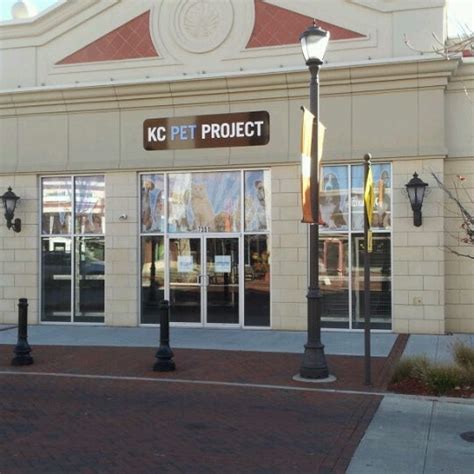 New pets added this week pet news 12/30/2020. Kansas City Pet Project - Animal Shelter in Northland