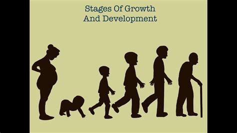 🏆 Stages Of Human Development Stages Of Human Development 2022 11 14