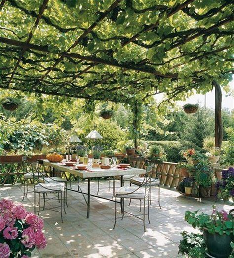 40 Inspiring Grape Vine Ideas To Beautify Your Garden Outdoor Pergola