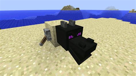 Minecraft Wiki Minecraft Axolotl  In Bedrock Edition Axolotls Images