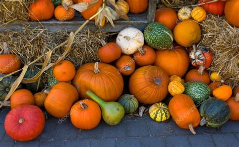 Pumpkins As Fall Decoration Stock Photo By ©tonlammerts 14094723