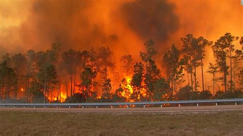 Los incendios forestales son incendios no previstos que arden en áreas naturales; Incendios forestales arrasan tierras en cinco estados de ...
