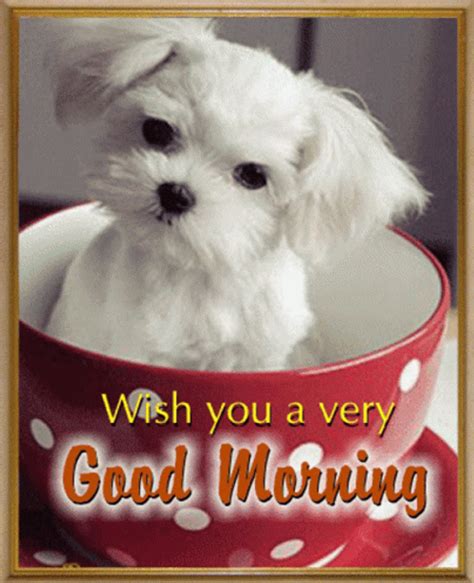 Morning Greetings With Good Morning Cute Dog Images And Quotes