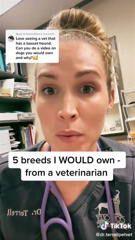 Vet Goes Viral After Revealing The Best And Worst Dog Breeds