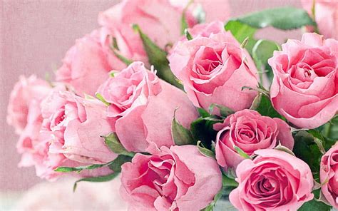 Hd Wallpaper Fresh Flowers Bouquet Of Pink Roses Hd Desktop