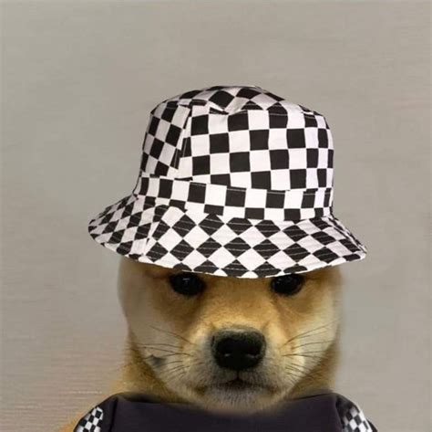 Pin By Clapped On Shiby Dog Icon Dog Images Dog Hat