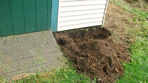 Keep Moles Out Of Garden