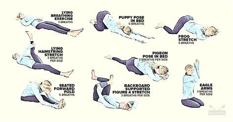Easy Yoga Morning Stretches Yoga Poses